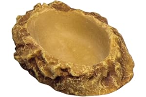 Hobby, Ciotola per Bere, Piatta