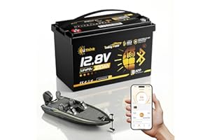 Li Think Batterie Lithium 12V 100Ah LiFePO4, Bluetooth, BMS 120A, 1280 Wh, 15000 Cycles, Auto-Chauffage & Basse Température – Idéale Moteur Trolling, Camping-Car, Solaire, Bateau