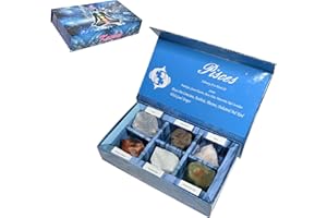 KACHVI Crystal Gifts - Pietre del Segno Zodiacale per completare Le Pietre della Nascita - Cristalli curativi Naturali con Oroscopo Confezione da 6 (Pisces)