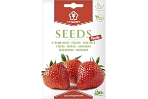 Fraises, Graines prêt à Pousser Minigarden, 100% Naturelles sans Propagateurs Chimiques ni Génie Génétique, inclut entre 300 et 340 graines