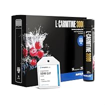 l carnitina faz mal ao coração Para Que Serve a L-Carnitina? Saiba Tudo!