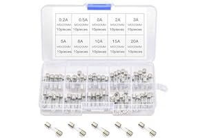 FEIGO 100pcs Fast-Blow Glass Fusibili Assortiti Kit, 5 x 20MM Colpo Rapido Tubo di Vetro Fusibili Kit 0,2~20A per Apparecchi, Strumenti, Giocattoli Elettronici, Auto e Altro Ancora