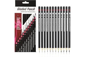 liuchanghe 12pcs Crayons Dessin Professionnel Set, Crayons à Croquis, Crayon Papier 2H-8B pour étudiants Enseignants Enfants Adultes Artistes Débutants Professionnels