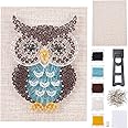 WEBEEDY DIY String Art Kit Owl Craft Kit Creative Craft Kits forand Boys Adult Home Wall Table Decorations