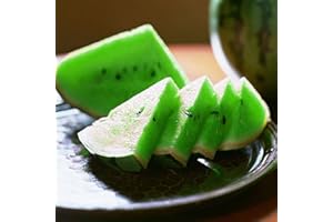 Benoon Semillas De Sandía, 1 Bolsa Semillas De Sandía Semillas De Frutas De Sandía De Color Mezclado Rústico Para Granja Verde Semillas de sandía