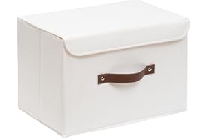 OUTBROS Boîte Range pour Vêtement, 38 x 25 x 25 cm Paniers de Rangement Pliables avec Couvercles et Poignées, Magazine pour, Chambre à Coucher (1 pièces,Blanche)
