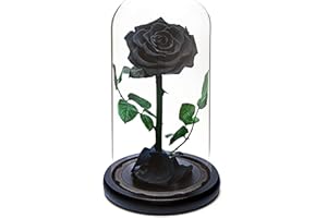 INTIGNIS Rose éternelle | Cadeau de Rose fraîche | Conservée Pendant 5 Ans | Fabrication Artisanale | Cadeaux pour Femmes Anniversaire Unique Insolite | Fête des mères, Anniversaire, Noël, Valentin Day