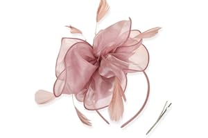 DRESHOW Damen Fascinators Hut Cocktail Party Tee Kopfbedeckung Blume Mesh Organza Bänder Federn auf Einem Stirnband
