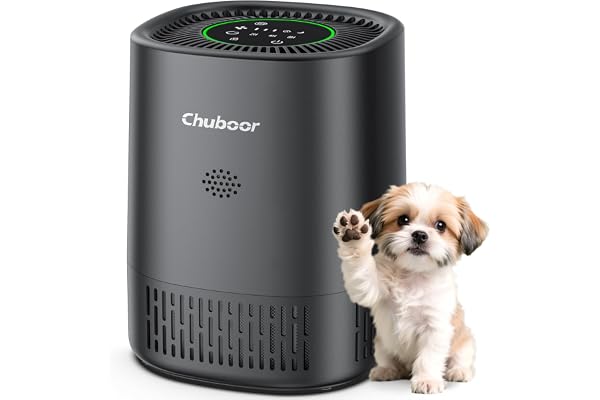 Purificateur d'air pour personnes allergiques, filtre à air HEPA contre les moisissures, la poussière et les poils d'animaux jusqu'à 0,3 µm pour les chambres à coucher (Noir Argenté)