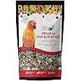 BirdsNature Premium Seed & Fruit Mix for African Greys Parrot, Senegals, Amazons, Electus, Small Cockatoos, Conures, Caiques & Exotic Birds (5kg)