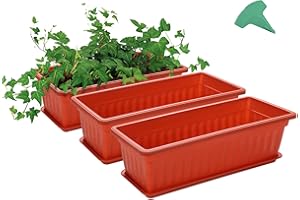 GROWNEER 3 Packs Window Box 43cm Terracotta Flower Box Plastic Vegetable Planters with 15 Pcs Plant Labels Rectangular Windowsill Patio Garden Home Decor Porch