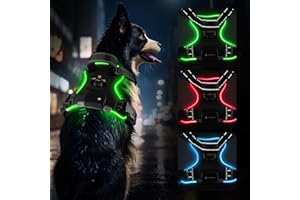 Harnais Chien Lumineux MASBRILL, LED Réglable pour Petit Moyen Grand Chien, Réfléchissant éclairage avec 2 Anneaux et Poignée Contrôle, Facile à Mettre (Noir-Vert, M)