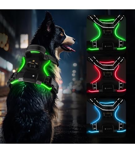 CoyoteVest Hundeschutzweste Mit Spikes – Reflektierend, Wasserdicht, Für Kleine Hunde Gegen Greifvogel- & Tierangriffe