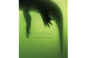 Anastasia Samoylova: FloodZone
