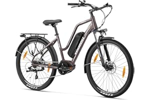 Touroll Bicicleta Eléctrica, MA2，Motor Central de 250 W 70 N.M y batería de 36 V 468 WH, autonomía de 100 km, Freno de Disco hidráulico, Bicicletas eléctricas para Hombres y Mujeres,Marrón/Gris