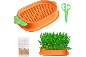 TULEBOLIAN Bac à Herbe à Chat Hydroponique,Bols D'Herbe à Chat,JardinièRe D'Herbe à Chat,Kit De Croissance D'Herbe à Chat,Station D'Alimentation Avec Herbe à Chat Pour Chat,Pour Jardin, Maison, Bureau
