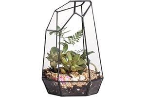 NCYP Terrario Geométrico de Vidrio con Prisma Irregular Hecho a Mano, 19cm de Alto, Maceta para Mesa, Maceta para suculentas, alféizar de Ventana, Maceta con exhibición de Helechos (Sin Plantas)