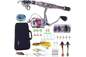 Sougayilang - Set canna da pesca e mulinello in fibra di carbonio, canna da pesca telescopica, 12+1BB, mulinello da spinning, con custodia per acqua dolce salata