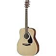 Yamaha F280 Acoustic Rosewood Guitar (Natural, Beige) : Amazon.in ...