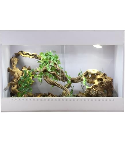 vidaXL Terrarium met opslag Doorzichtig 30 x 30 x 30 cm Glas, Andere Cubieke Ontwerpen, Moderne Indelingen voor Innovatieve Ruimtes, 3D Perspectieven, Creatieve Oplossingen voor Unieke Interieurs