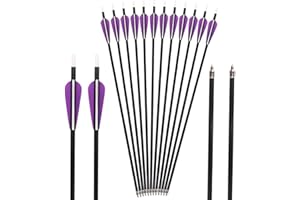 Huntingdoor 31" Carbon Arrow 350 Spine Archery Hunting Arrows with 100 Grain Screw in Tips Target Arrow for Recurve Bow Compound Bow