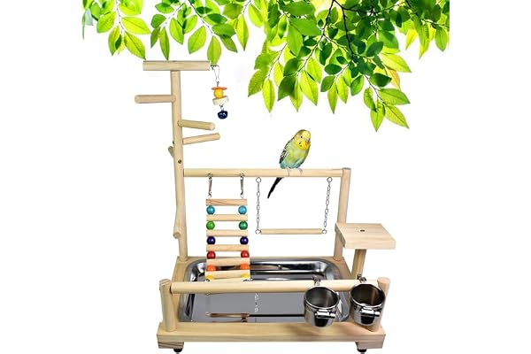 Holzsammlung Support de Jeu de Perroquet d'oiseau en Bois/Aire de Jeux/Ensemble de Jouets, avec Perchoirs, Echelles et Balançoire, pour Eclectus Sun Conure Scarlet Macaw Cockatoo Perakeet Quaker