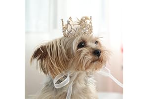 Lovelyshop Pet Series Corona de Perro/Gato Redonda Completa con Perla de Diamantes de imitación Real chapada en Oro para Accesorios para el Cabello de Disfraces-Tamaño Pequeño