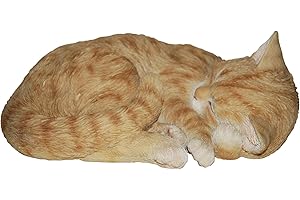 Vivid Arts Real Life Katze, schlafend, rot (Größe B)