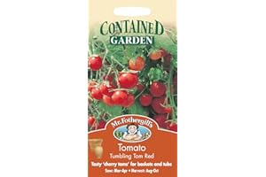 MR FOTHERGILLS Mr Fothergill's 13590 Vegetable Seeds, Tomato Tumbling Tom Red