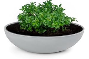 matches21 HOME & HOBBY Pflanzschale für draussen in hell-grau marmoriert 30 x 9 cm als wetterfeste Blumen-Schale