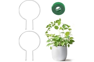 ZEYIYER Podpórka do Roślin Pnących, Okrągła, 2 Sztuki - Metalowa Podpórka do Roślin Pokojowych, Kratka na Rośliny, Stojak na Krzewy i Róże