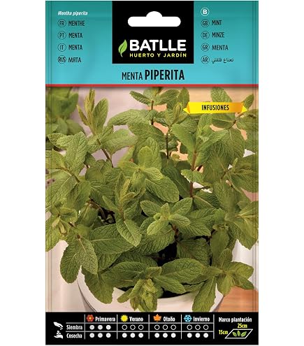 Lot 14+1 Graines Herbes Aromatiques Sans OGM – Basilic, Persil, Coriandre, Thym… Kit Jardin Intérieur & Extérieur Nojaus