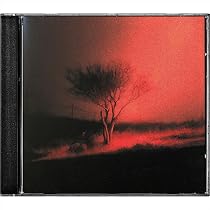 Smithereens: Joji: Amazon.in: Music}