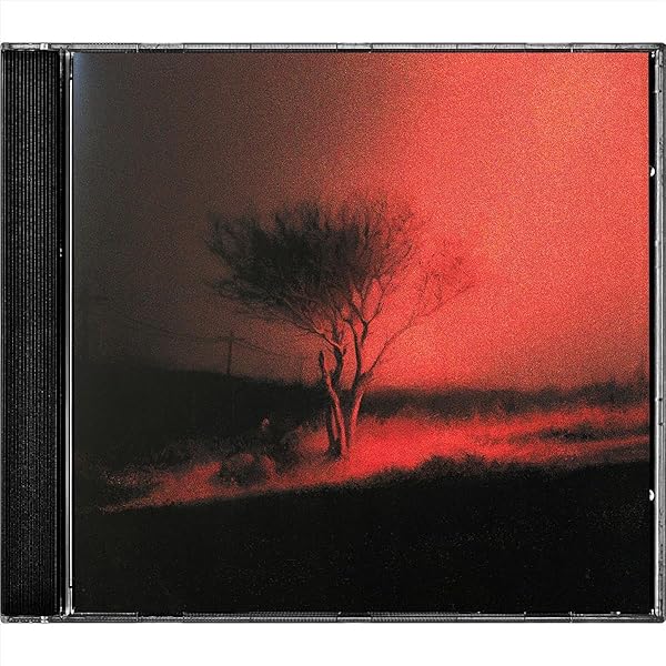 Joji - Nectar: Amazon.nl: Muziek