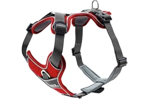 HUNTER DIVO - Pettorina per cani, taglia XS, 34-47 cm, colore: Rosso/Grigio