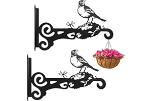 Ziwijity 2er-Set Metall Pflanzenaufhänger, Wandpflanzenhänger Stabile Wandhaken, Blumenampel Haken für Pflanzen, Vogelfutterhäuser, Windspiele & Laternen,Rostfrei Hängehalterungen (Schwarz 2 Stück)