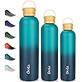 Insulated Stainless Steel Water Bottle 500 ML - Double Wall With Handle, Keeps Drinks Hot 12 Hrs/Cold 29 Hrs, Leakproof BPA Free