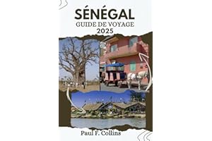 SÉNÉGAL GUIDE DE VOYAGE: Tout ce que vous devez savoir pour vivre un voyage incroyable, de l'hébergement aux plats en passant par les conseils de transport.