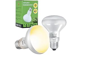 PetFizz Reptile Heat Lamp Bulb 100W-2Pack, Daylight Basking Spot Lamp Bulb, E27 Vivarium Tortoise Light for Reptile, Bearded Dragon, Lizard, Snake