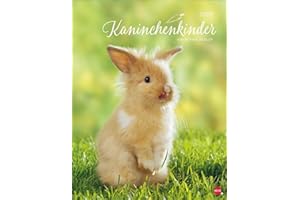 Kaninchenkinder Posterkalender 2026: von Monika Wegler. Ein bezaubernder Tierkalender mit süßen Fotos. Dekorativer Kalender für Tierfreunde. Hochformat 34 x 44 cm.