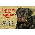Nanyuk Rottweiler Warnschild - Metall, 30,5x20 Cm, Aluminium 0,5 Mm - Hundeschild Für Grundstück