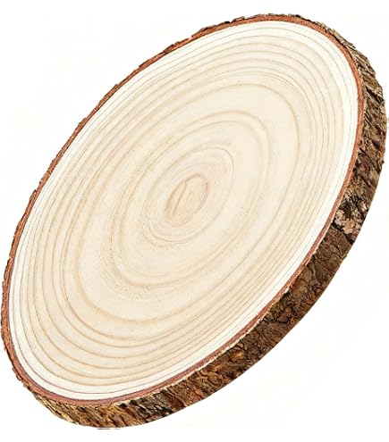 Bütic Holzscheibe Esche Oval – B-Ware, Ca. 55 Cm Lang, Geschliffen, Als Servierbrett Oder Deko