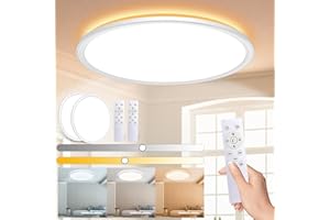 LQIKARL Led Ceiling Light 【2 Pack】 Dimmable Ceiling Light 3000K, 4000K, 6500K 10 Level Brightness Adjustment, 24W 3000Lm Flush Led Ceiling Lights with Remote Control for Bathroom Bedroom Kitchen