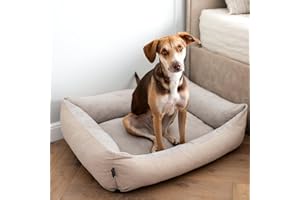 4L Textil Teo Kuscheliges Hundebett Bezug abnehmbar und waschbar Hundekorb mittelgroße Hunde Hundekissen flauschig Hundekörbchen Hundesofa(80x60 cm, Beige)