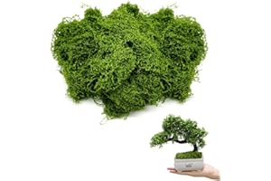 DKDXID 100g Musgo Artificial para Belenes Musgo Artificial para Manualidades Musgo Preservado Decoracion Musgo Verde Artificial Placa de Musgo Reno Musgo Natural para Bonsai Musgo Terrario Fake Moss