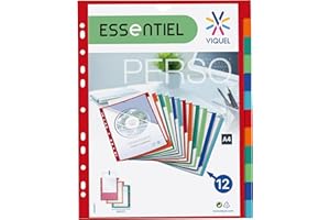 Viquel 153987-06 - Maxi separador personalizable, de polipropileno, 12 posiciones