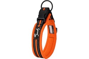 PETTOM Collare Cane Cani Cuccioli Piccola Taglia Media Grande con Targhetta Nome Riflettente Morbido Regolabile Imbottito Sicurezza Nylon Morbido Resistente Traspirante (Arancione M)