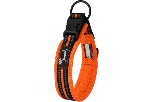 PETTOM Collier pour Chien, Collier Réglable et Rembourré pour Chien Gros Moyen Petit avec Bande Réfléchissante(Orange M)