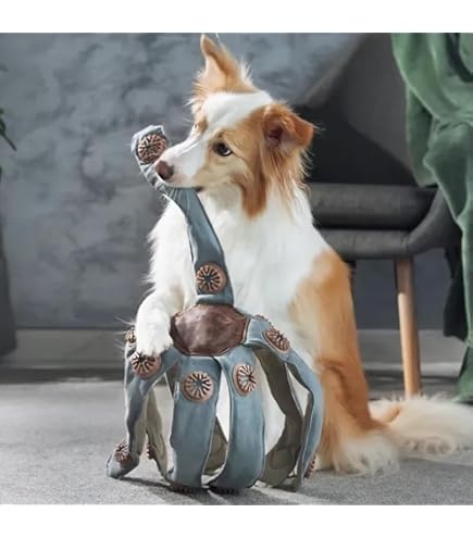 Frank The Dogtopus Puzzle Dog Toy | Key Features, Price & Alternatives