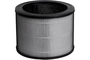 FFYan Filtro di ricambio misura O, 1712-0100-00 compatibile con Winix A230 e A231 purificatore d'aria 3-in-1 H13 True HEPA, confezione da 1